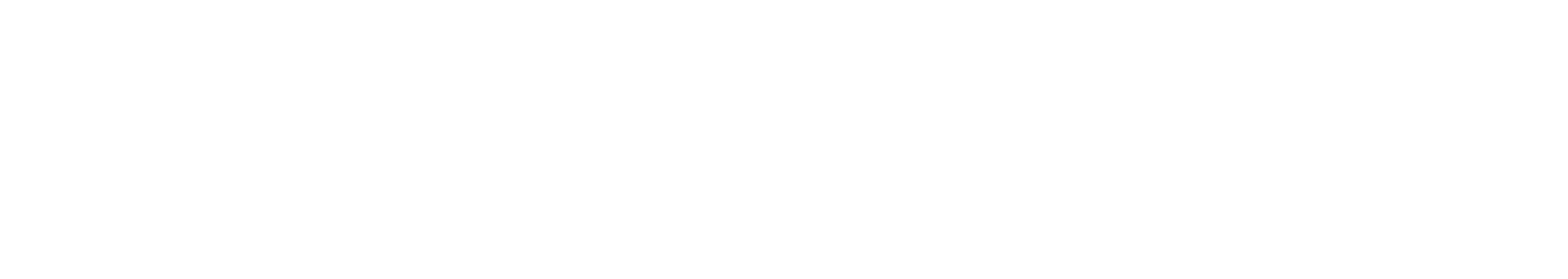 Park Prestige Transportation